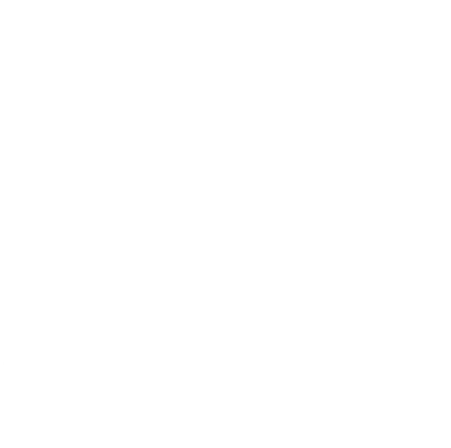 Funds and certificates icon