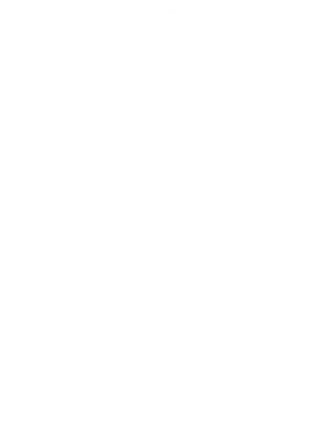 Action plan icon